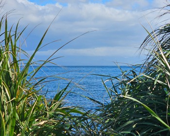 Мысы Птичий и Великан