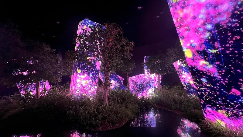 Билеты в teamLab Phenomena в Абу-Даби