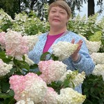 Осадчая