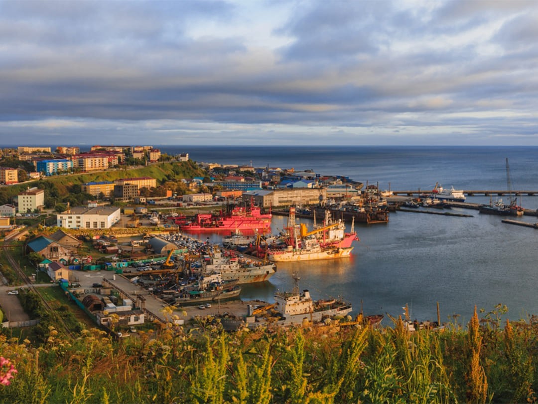 Порно кроссовкалар