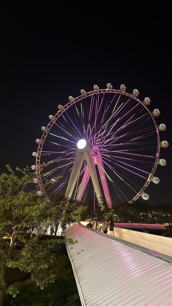 Прекрасный гид! Посмотрели весь Шеньжень за один день: парк, торговый квартал, старая рыбацкая деревня, погрузились в