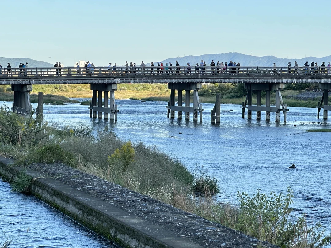 Экскурсионная программа очень понравилась. С Екатериной мы погуляли по району Гион и даже успели с дочкой