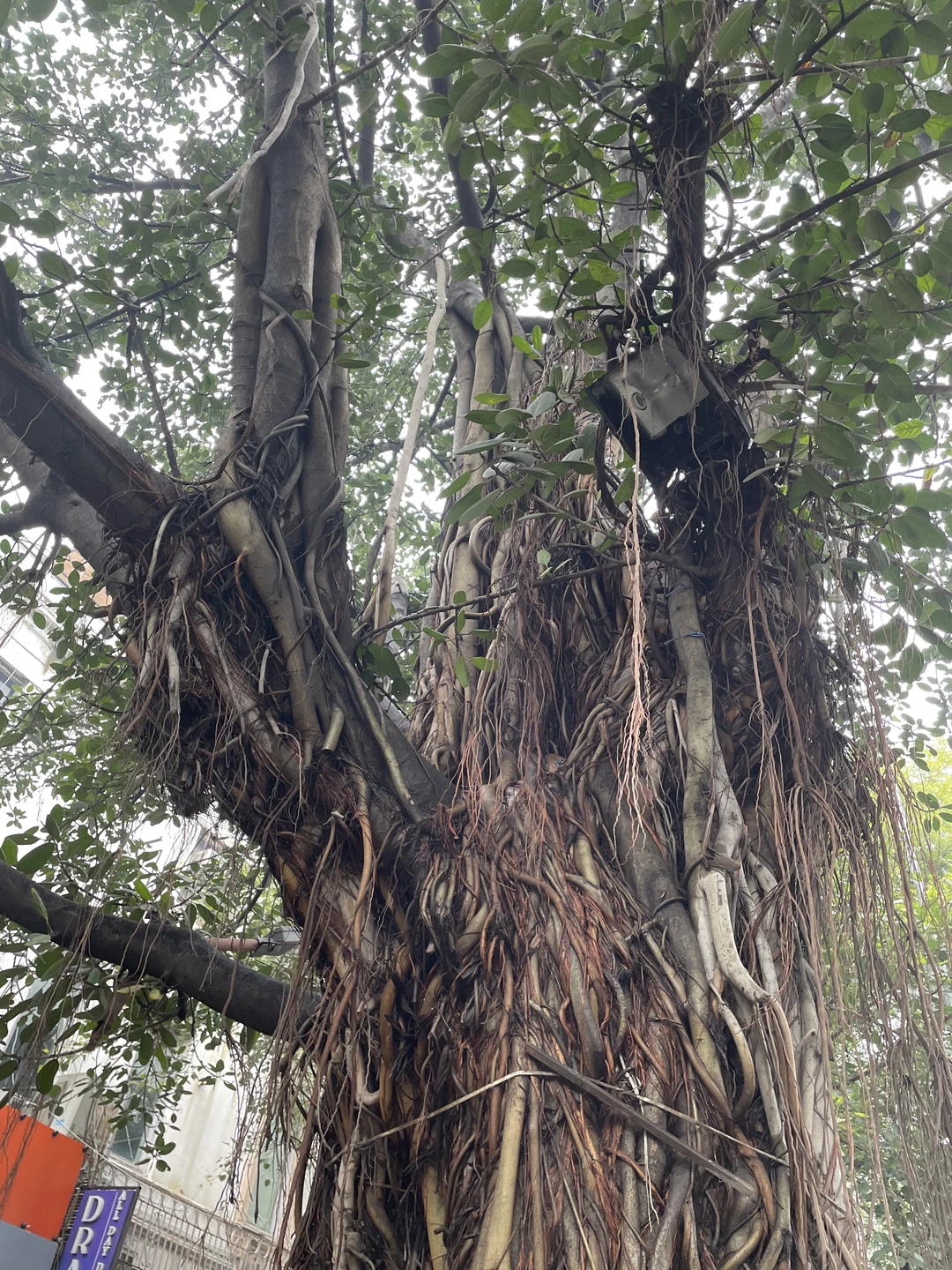 Экскурсия началась вовремя, было показано даже больше локаций, чем заявлено! Наш экскурсовод Джими, очень интересно рассказывал