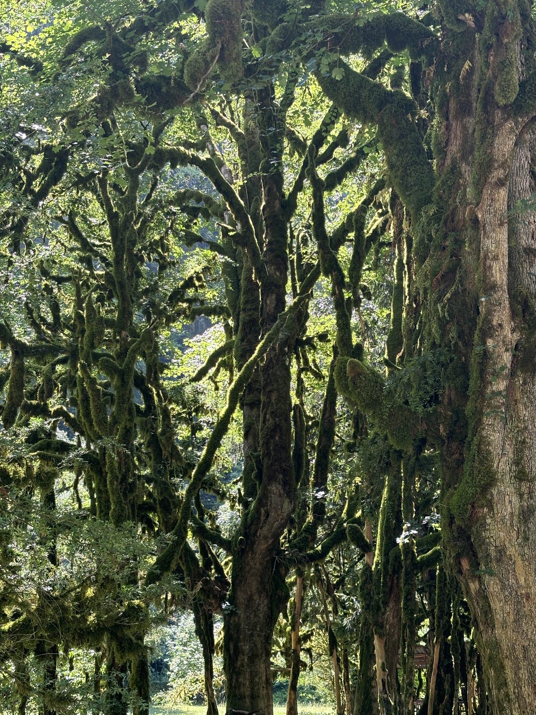 Все очень понравилось