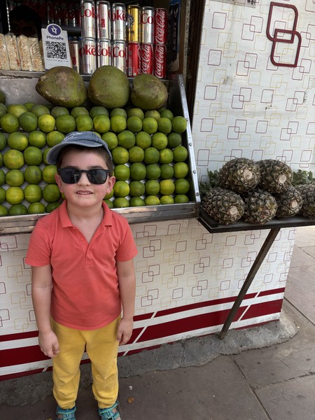 У нас был один день в Дели с Мохаммедом, и это был незабываемый день!