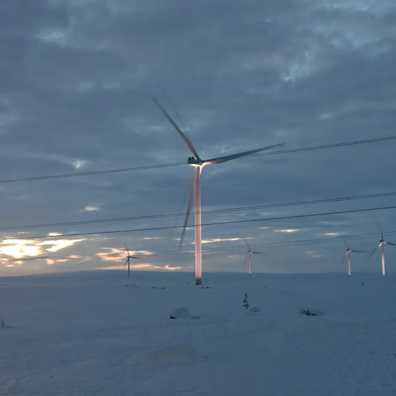 Хорошая экскурсия, интересные локации. У дайверов не работала кофемашина, да и в целом ценник завышен. Но