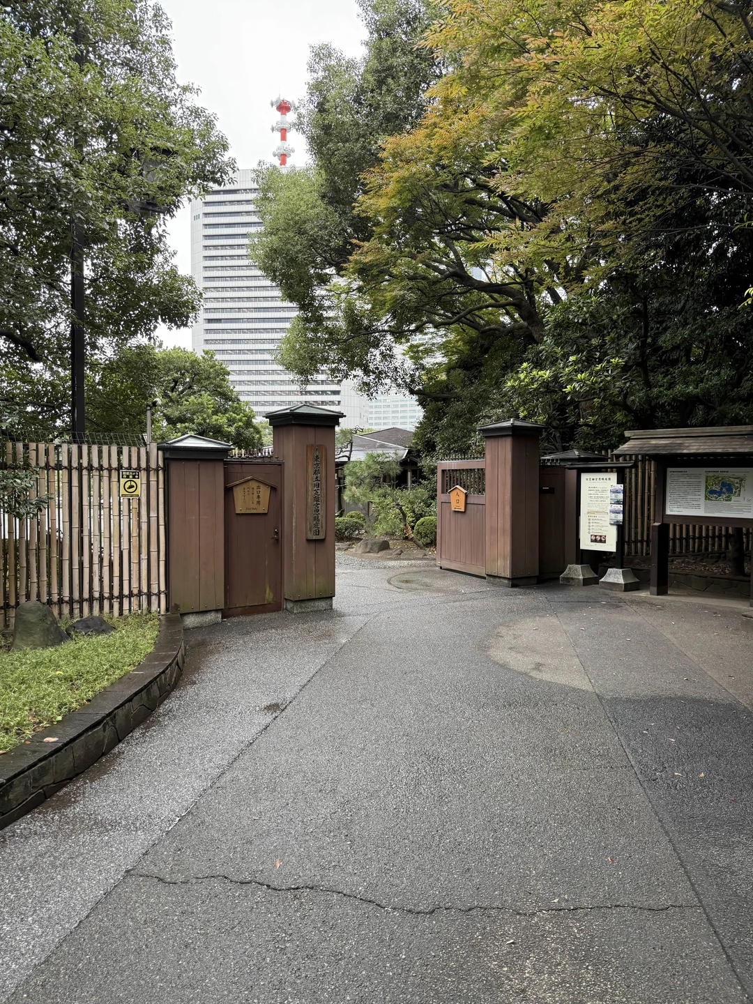 Мы провели день с Еленой в Токио — и это было одно из лучших решений в