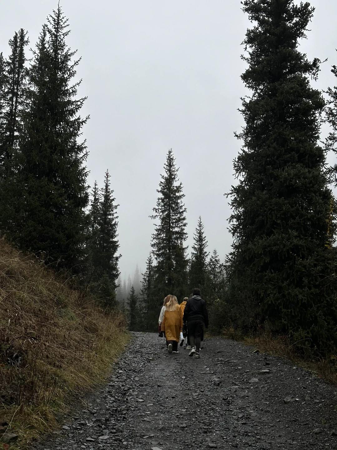 Озёра Каинды и Кольсай, Черный и Чарынский каньоны - все сокровища Алматы (Пятунина)