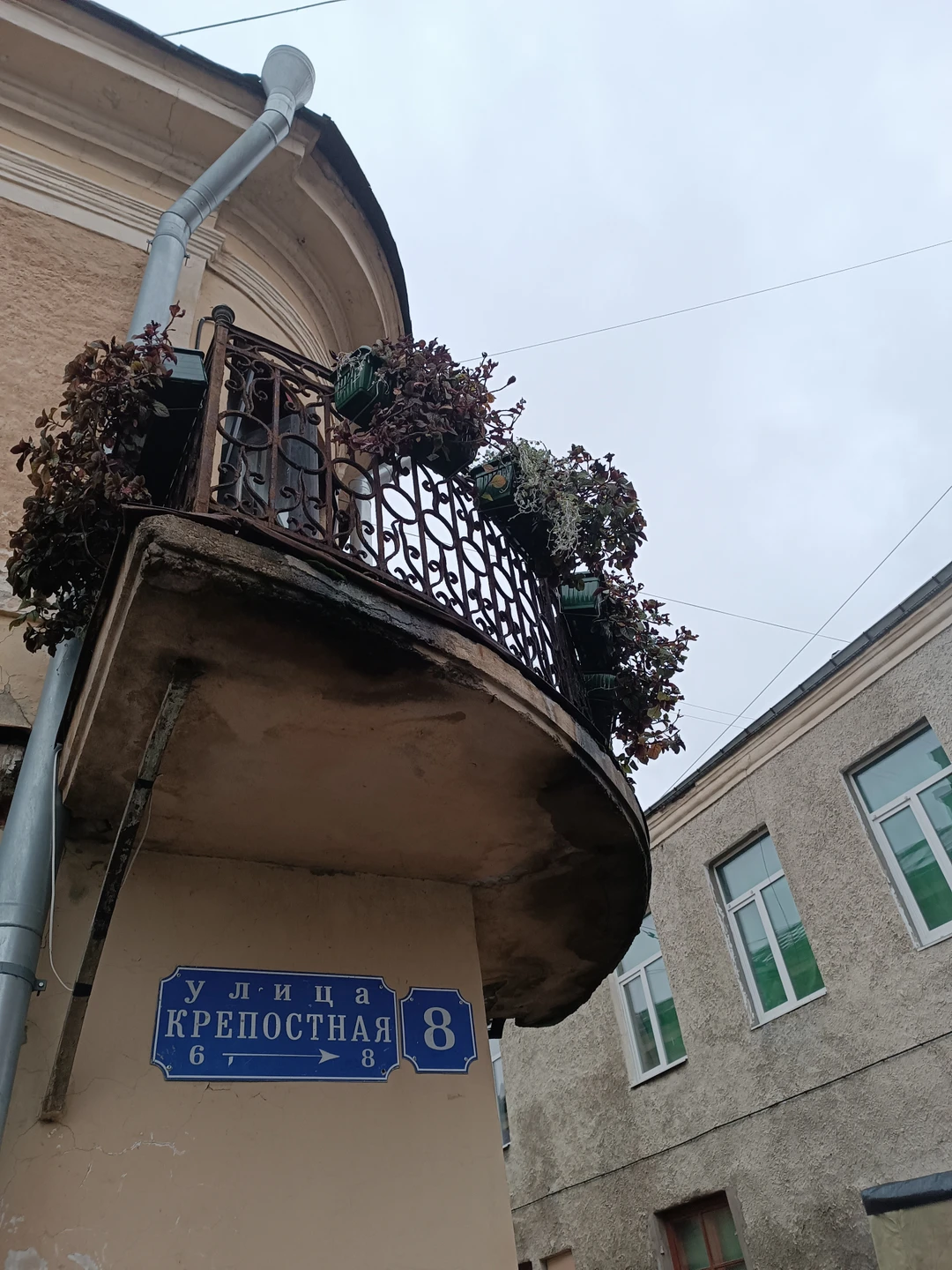 Большая обзорная прогулка по Выборгу (Анастасия)