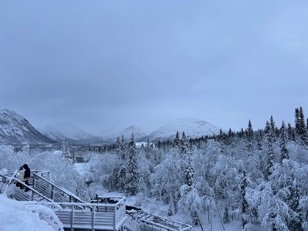 Были на экскурсии 25.11
