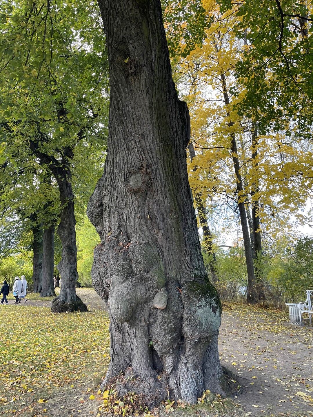 Экскурсия-квест в Царском Селе (Мария)