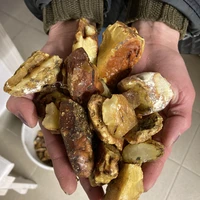 Фото отзыва 3: экскурсия "Балтийск, Янтарный, Светлогорск — уникальные приморские города"