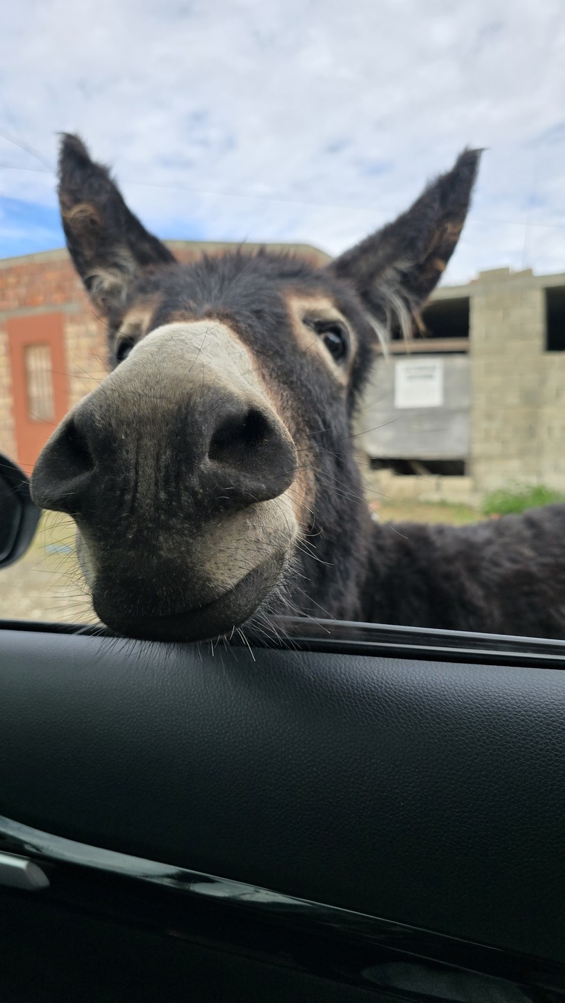 Виды и вкусы Дагестана: топовые локации и национальная кухня (Ольга)