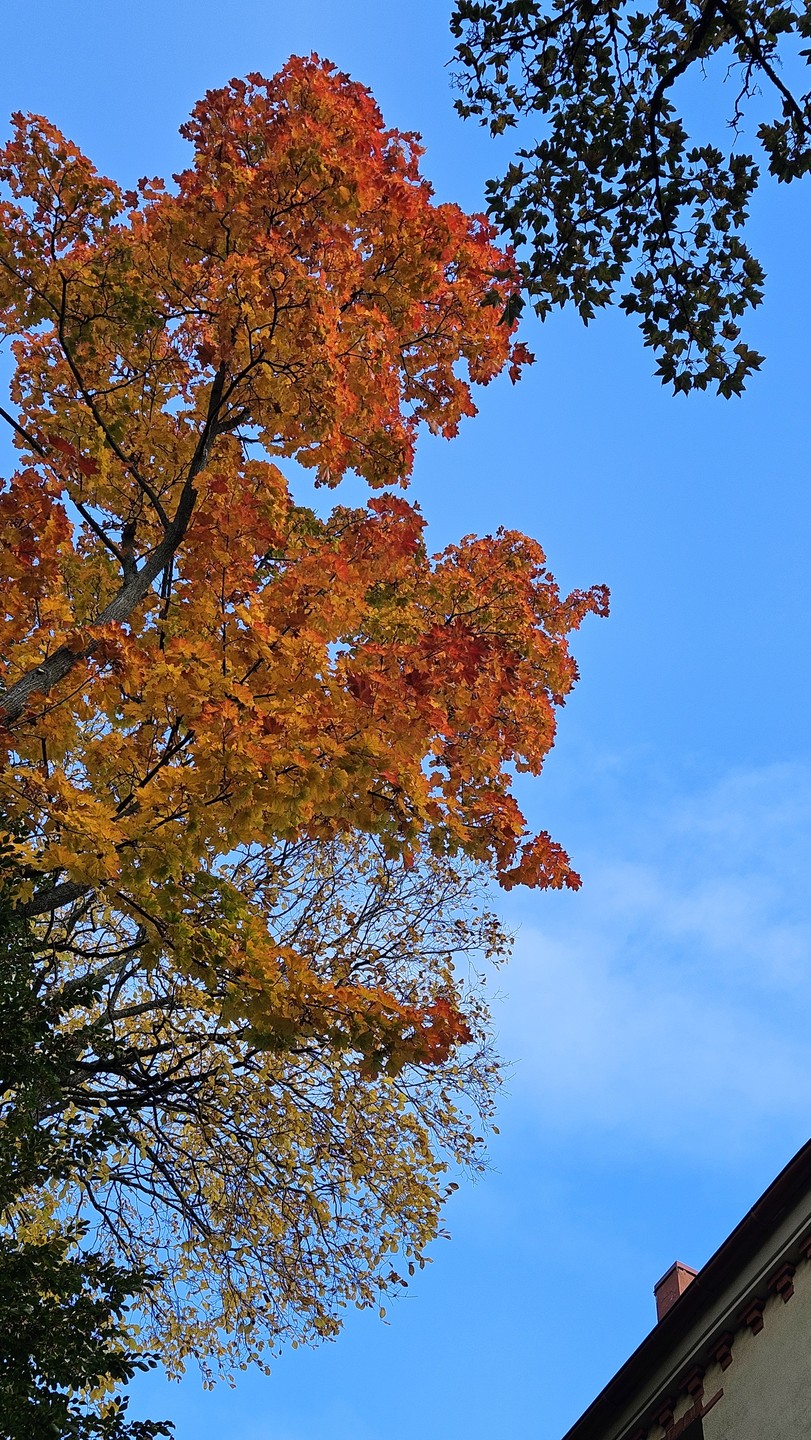 Нам очень понравилась прогулка со Светланой. Рассказ был интересным, подробным, при этом не занудным. За три