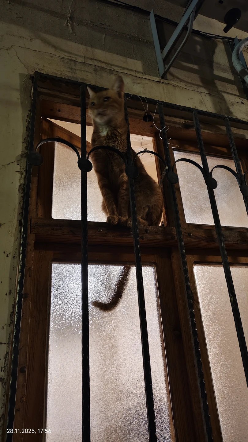 Джамал отличный гид, рекомендую. Прекрасно знает историю своего города, говорит на многих языках, может вас сфотографировать