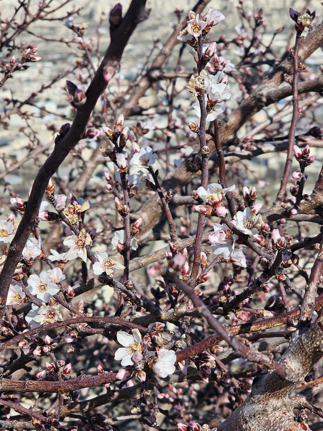 Большое спасибо за организацию, отлично провели два дня! Отель просто супер, кормят отлично. Гид Эрдал, задал