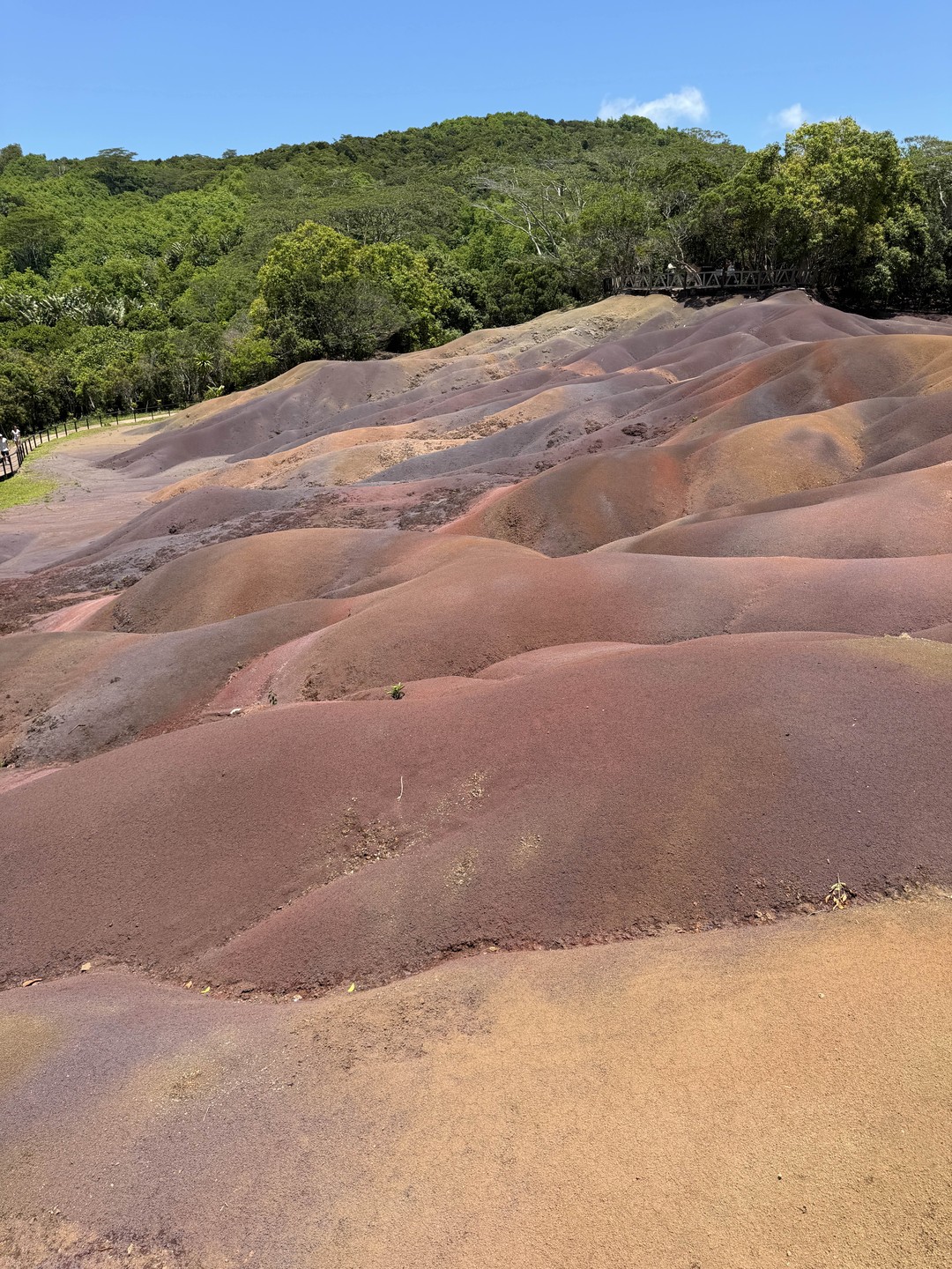 Были учтены все мои предпочтения. Дэн проявил действительно индивидуальный подход, и показал мне настоящий, такой разный