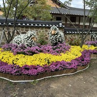 Фото отзыва 3: экскурсия "Знакомьтесь, Инчхон!"