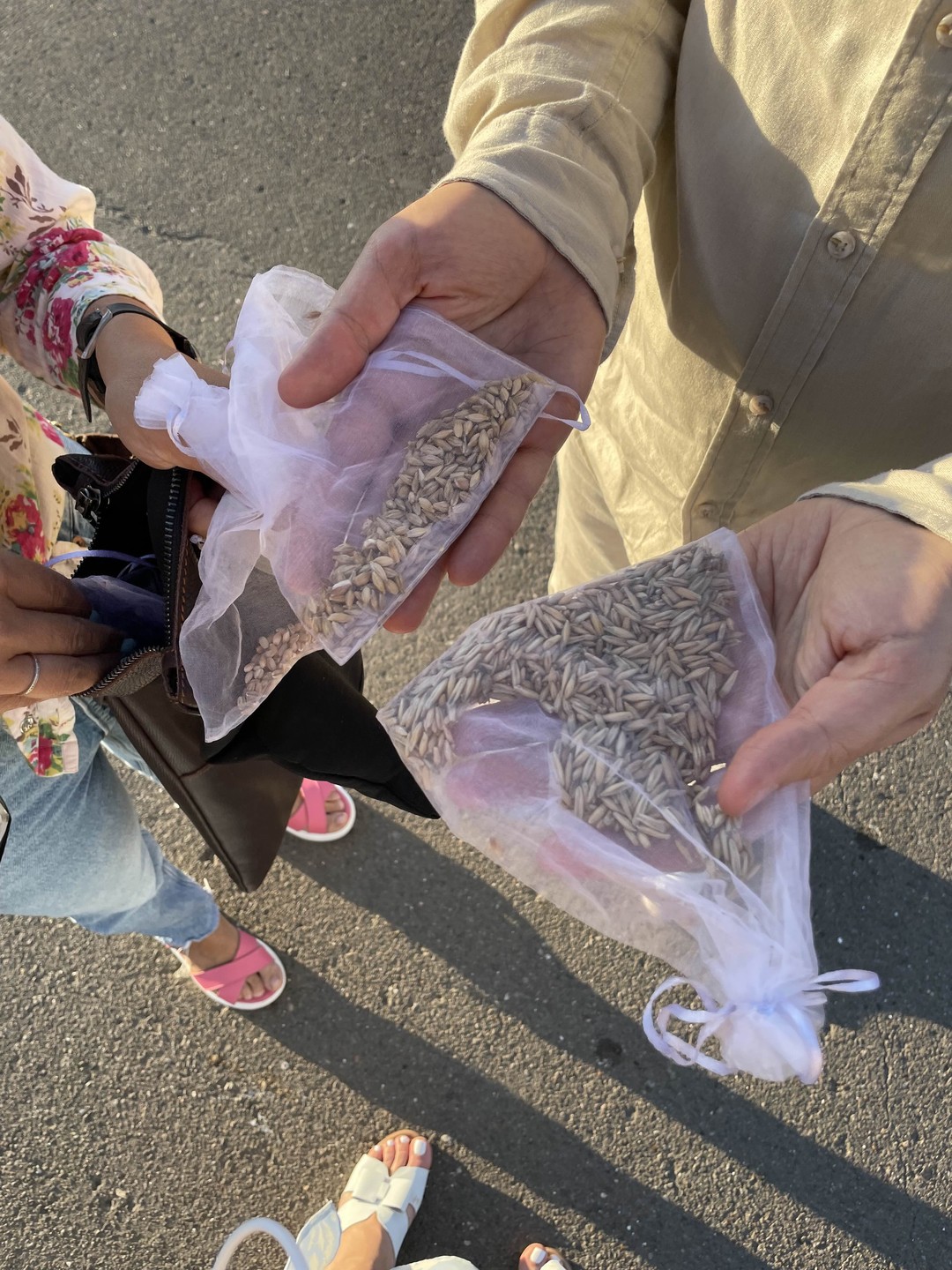 Лучшая экскурсия! Уже рекомендую всем друзьям! Нам было очень красиво и интересно! Спасибо за внимательное отношение к нам!