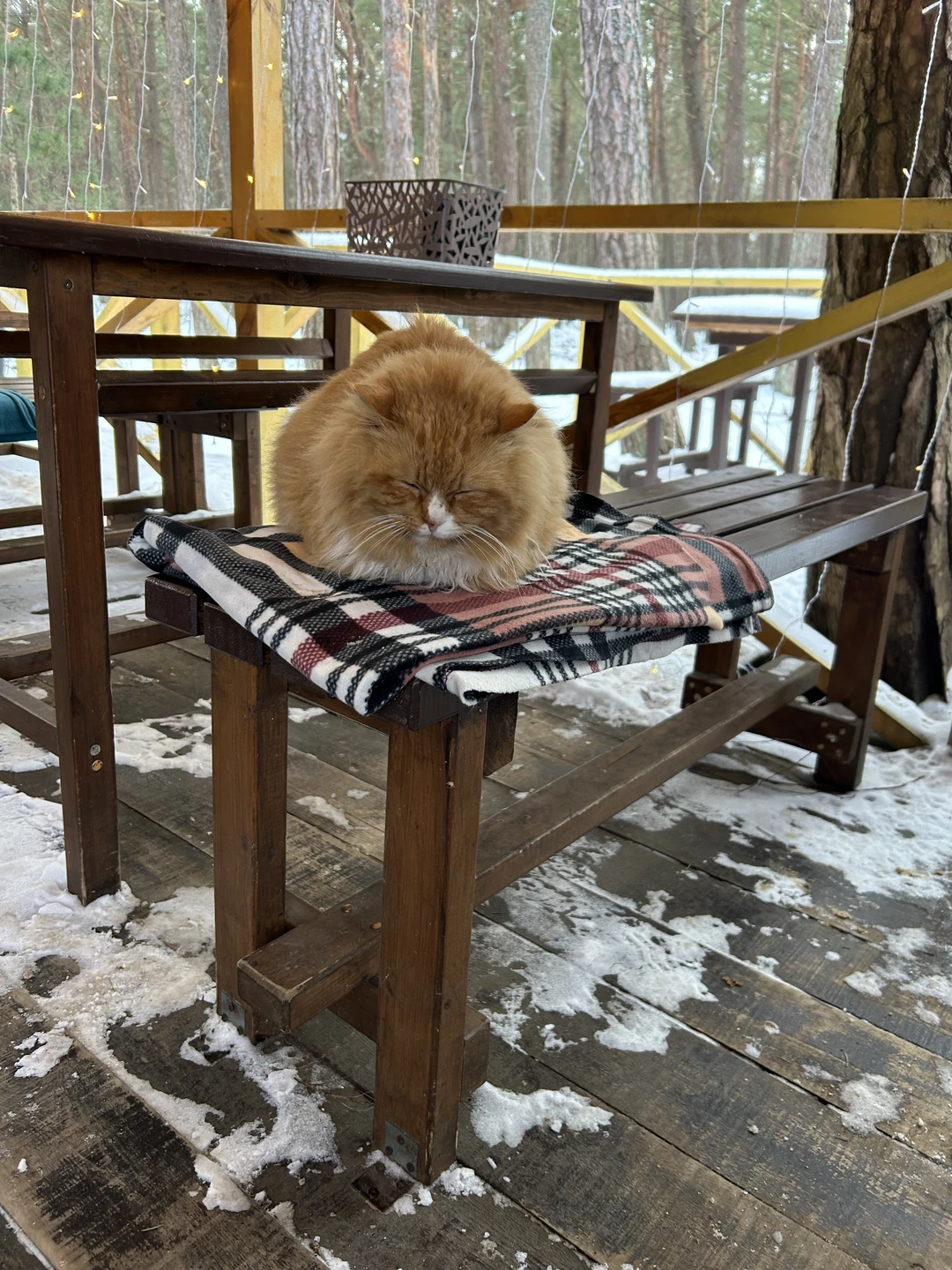 Спасибо экскурсоводу Ирине❤️ очень интересно, на все вопросы отвечала, хороший юмор 😊 Понравилось всё. Я сомневалась