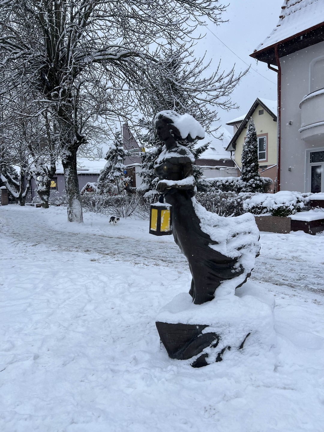 Ходили на экскурсию с Юрием 1 января 🎄