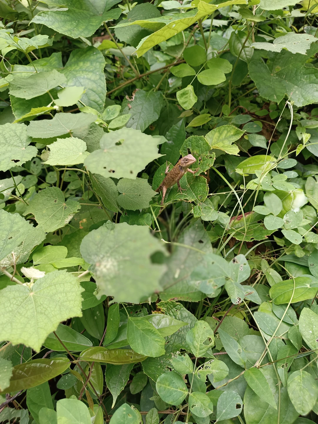 Просто отличный поход! Старт с точки, к которой легко добраться на такси/ байке/ арендованной машине (в