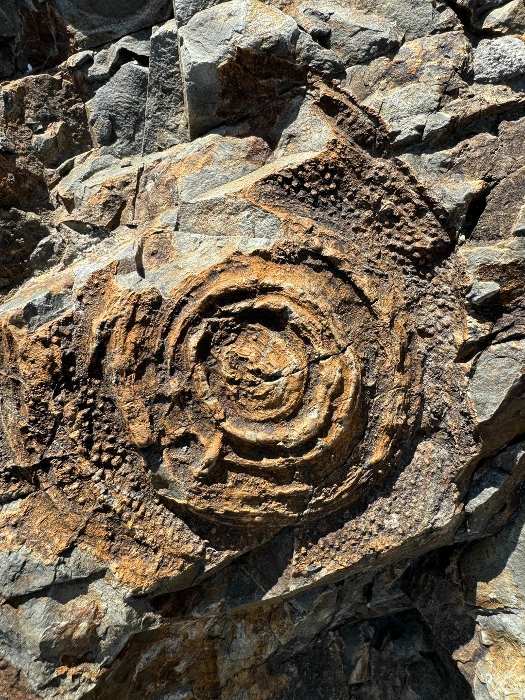 Это было незабываемое путешествие! Спасибо нашему гиду Сергею за действительно интересные путешествие со интересными приключениями! Это