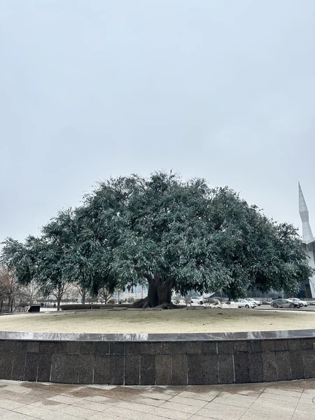 Удобный гид, чтобы спокойно в своем темпе погулять по Грозному)