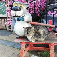 reviews img