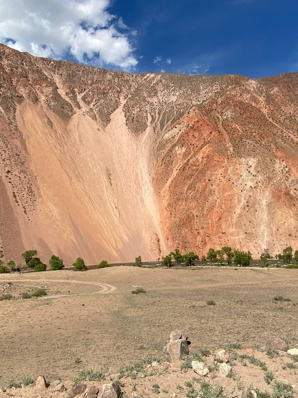 Действительно, не просто путешествие, а именно приключение. Насыщенное, захватывающее, с разнообразием впечатлений. Жара Бишкека сменяется прохладой