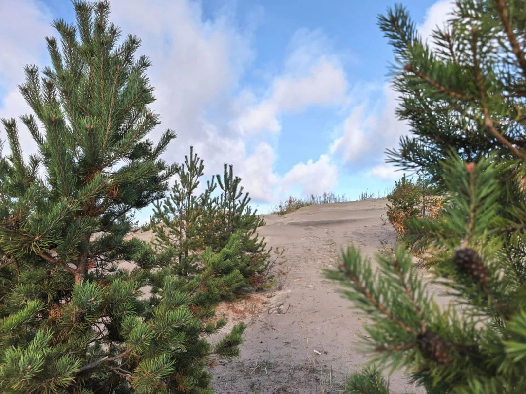 Отличная организация экскурсий, машина, маршрут, остановки в интересных местах и подача информации. Видно, что Ольга любит