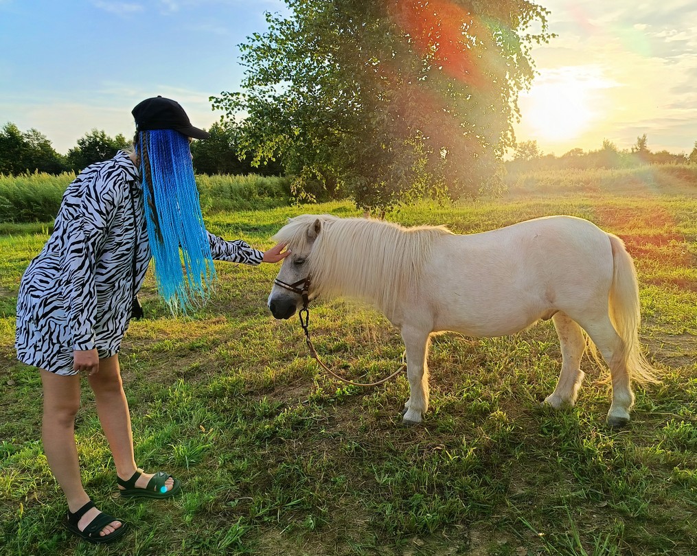 Посетили замечательную экскурсию на ферму альпак, и хочу поделиться своими впечатлениями!