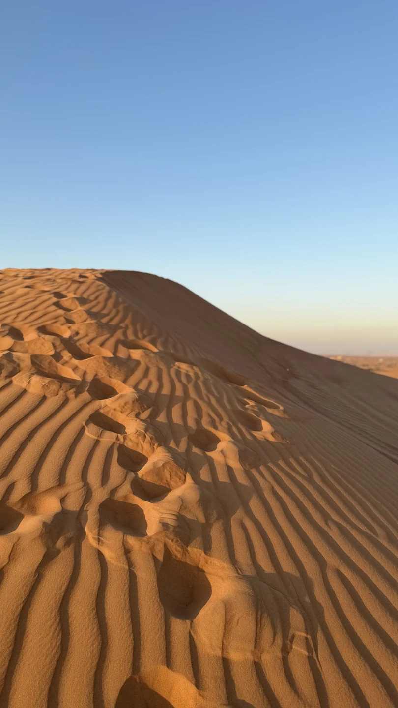 Просто супер, то что нужно!!!! Никаких лишних развлечений, пустыня, закат и красота😍 в полном восторге)