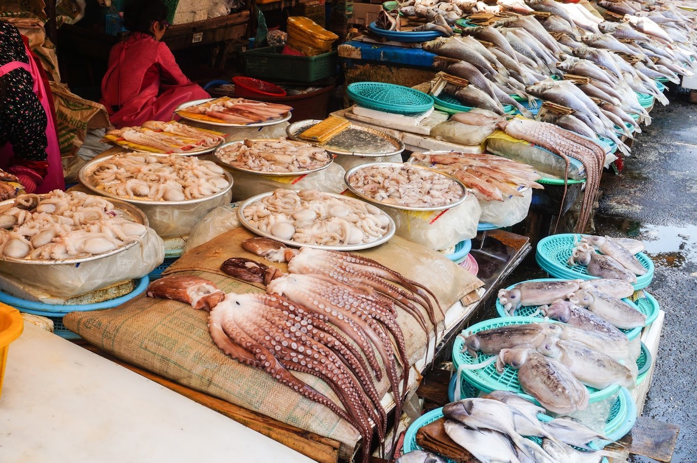 История, современность, духовность: весенний отпуск в Южной Корее (2/9)