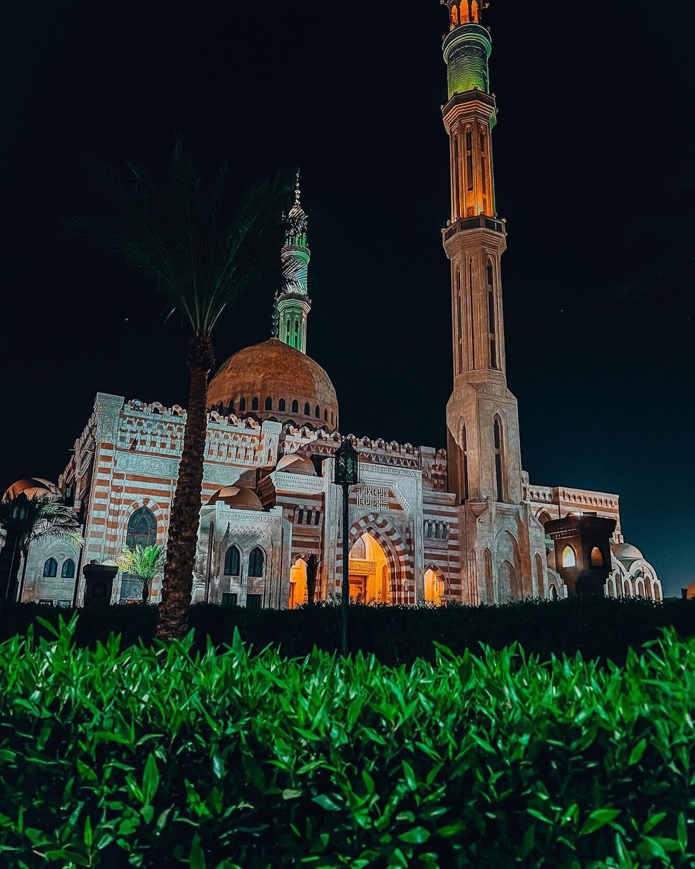 Нешаблонный Шарм-эль-Шейх (6/11)