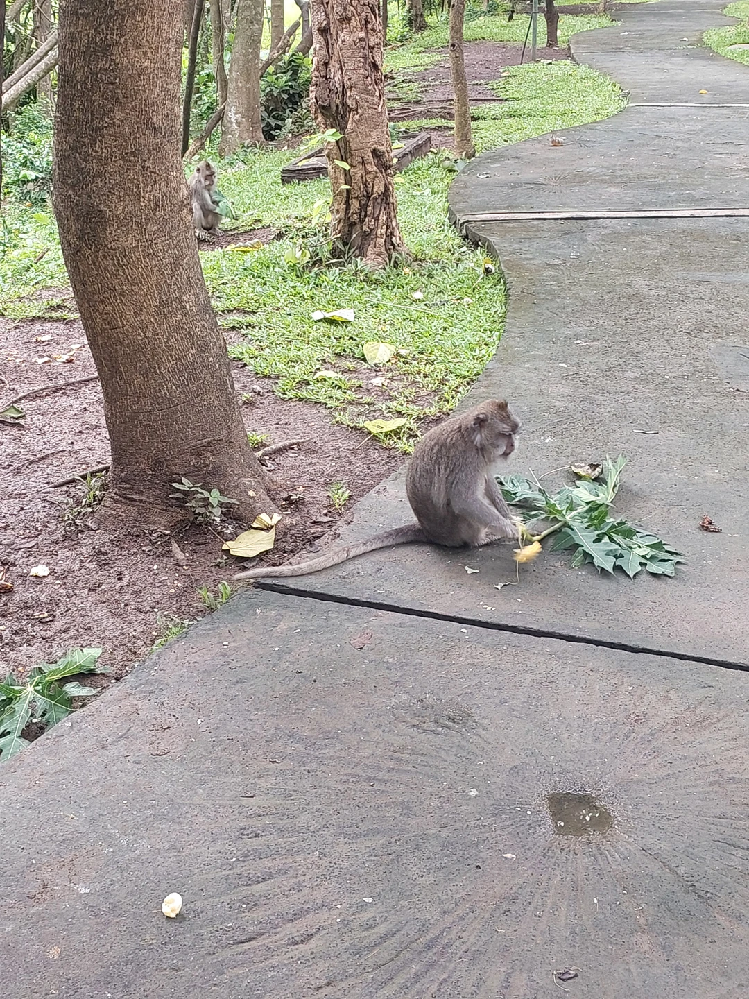 Экскурсия с душой, Роми очень душевный и смешной гид