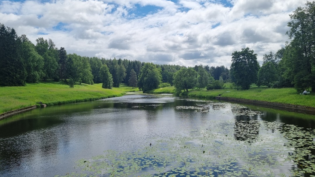 Семейная экскурсия-квест по Павловскому парку (Наталья)