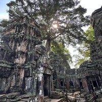 Фото отзыва 2: экскурсия "Храмы Ангкора: жемчужина Юго-Восточной Азии"
