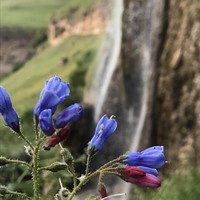 Фото отзыва 2: экскурсия "Плато Бермамыт и водопады Гришкиной балки"