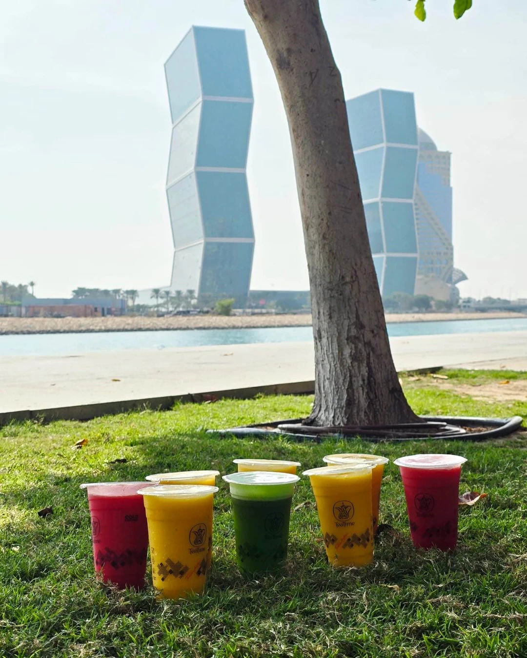 Добрый день, бронировали индивидуальную экскурсию по Катару на 3 семьи. Нашим гидом была Дарья. Учитывая, что