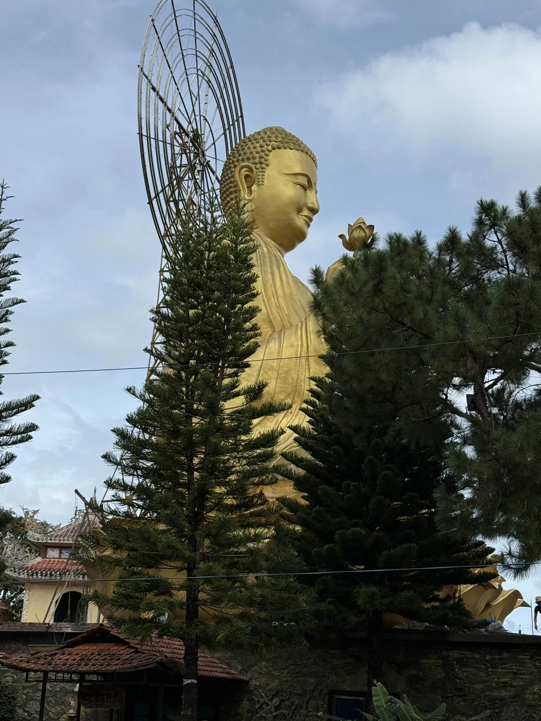 Экскурсия нам очень понравилась. Михаил, как только приехал за нами в отель, расположил к себе абсолютно