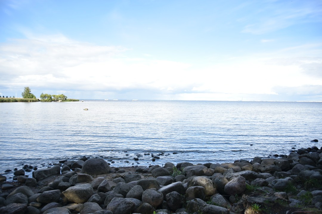 Полчаса - и в Петергофе!