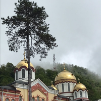 Фото отзыва 8: экскурсия "Абхазское трио: Гагра, Новый Афон и Сухум"