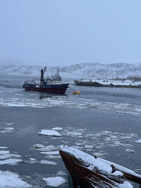 Териберка: дыхание Ледовитого океана (Мария)