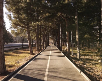 Экскурсия по Бишкеку и отъезд