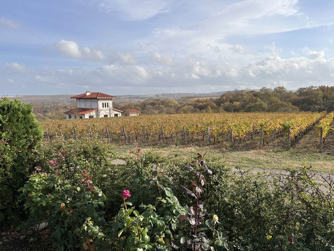 Удивительно, что так мало отзывов, поэтому мы не совсем знали, что именно берём, на что подписываемся