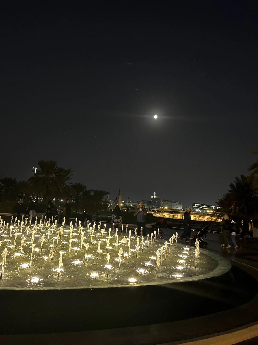 Экскурсия из Дубая в Абу-Даби в мини-группе (Мария)