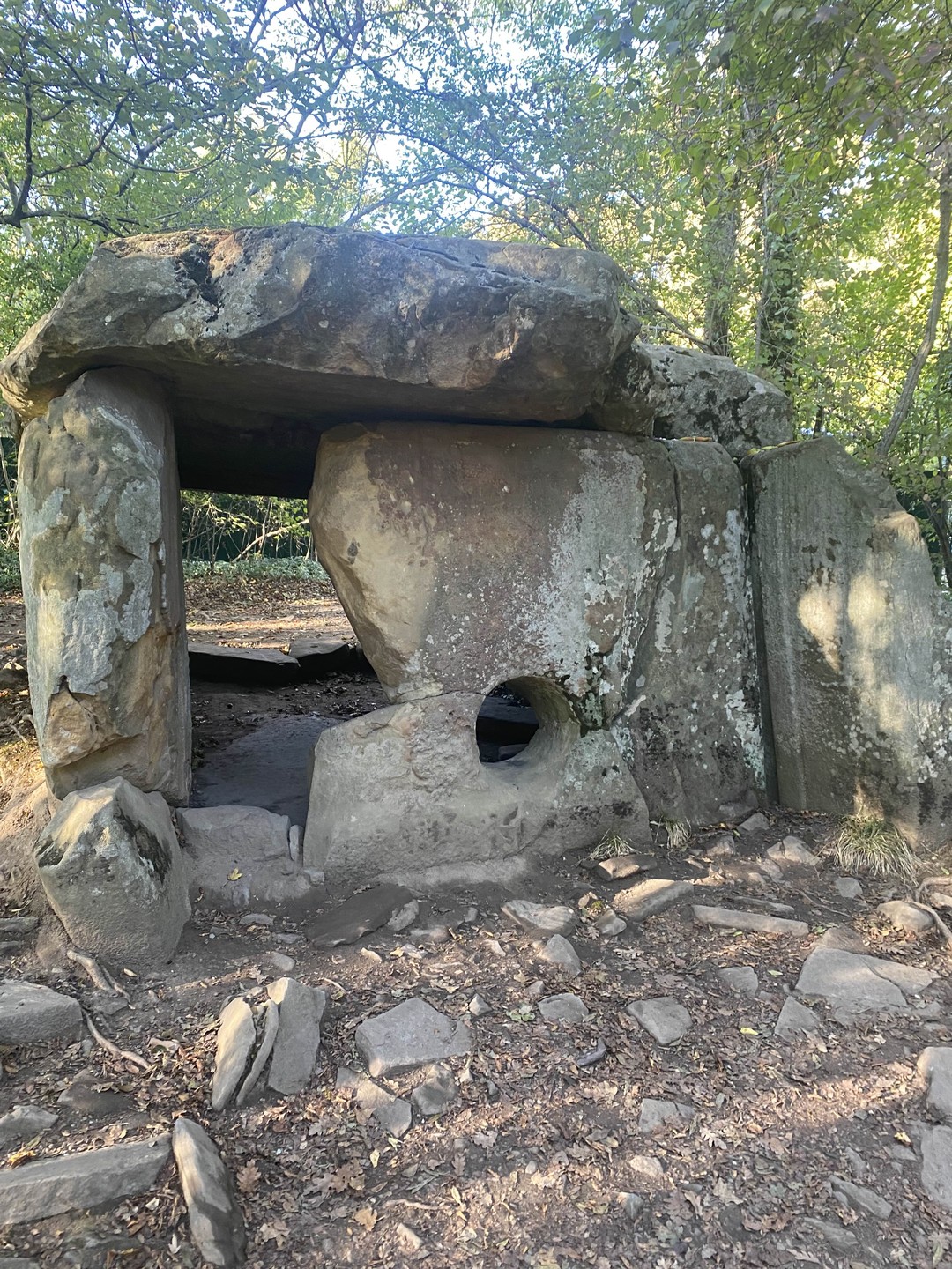 Спасибо за отличную экскурсию, все очень понравилось ❤️