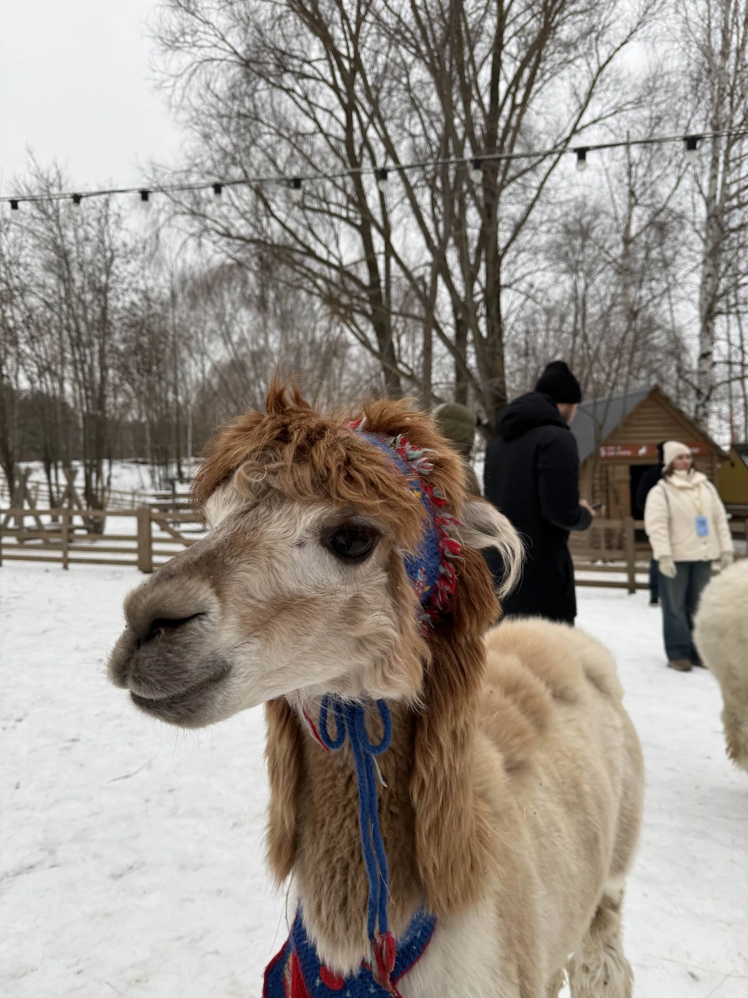 Мы благодарим команду в лице Владислава за прекрасную экскурсию! За интересную и содержательную прогулку по острову!
