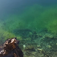 Фото отзыва 1: экскурсия "Сказочная Кабарда и чарующая Балкария (из Пятигорска)"